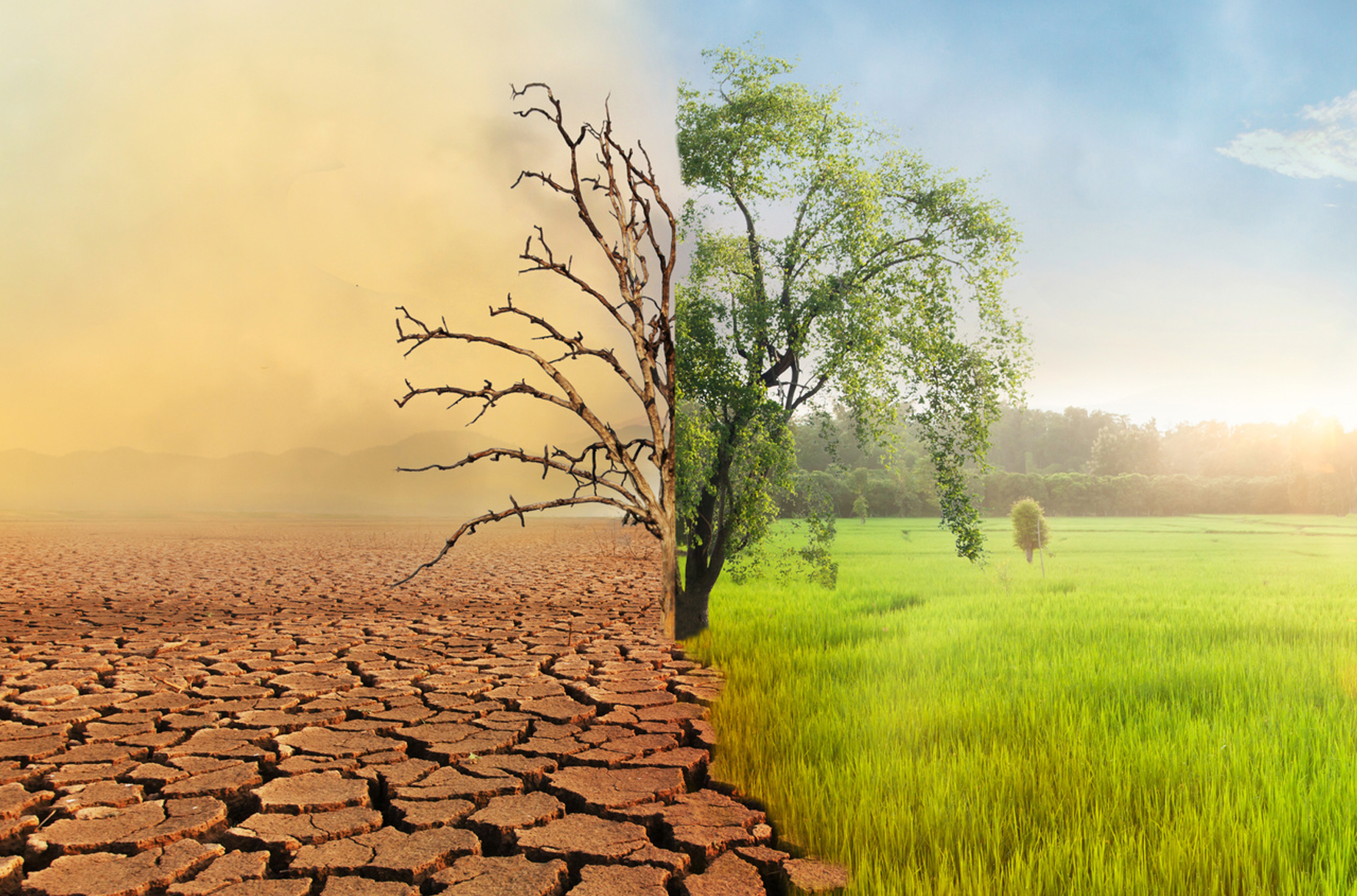 CLIMATE CHANGE & CORPORATE INSOLVENCY